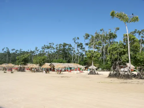 Salvaterra 3 Dia